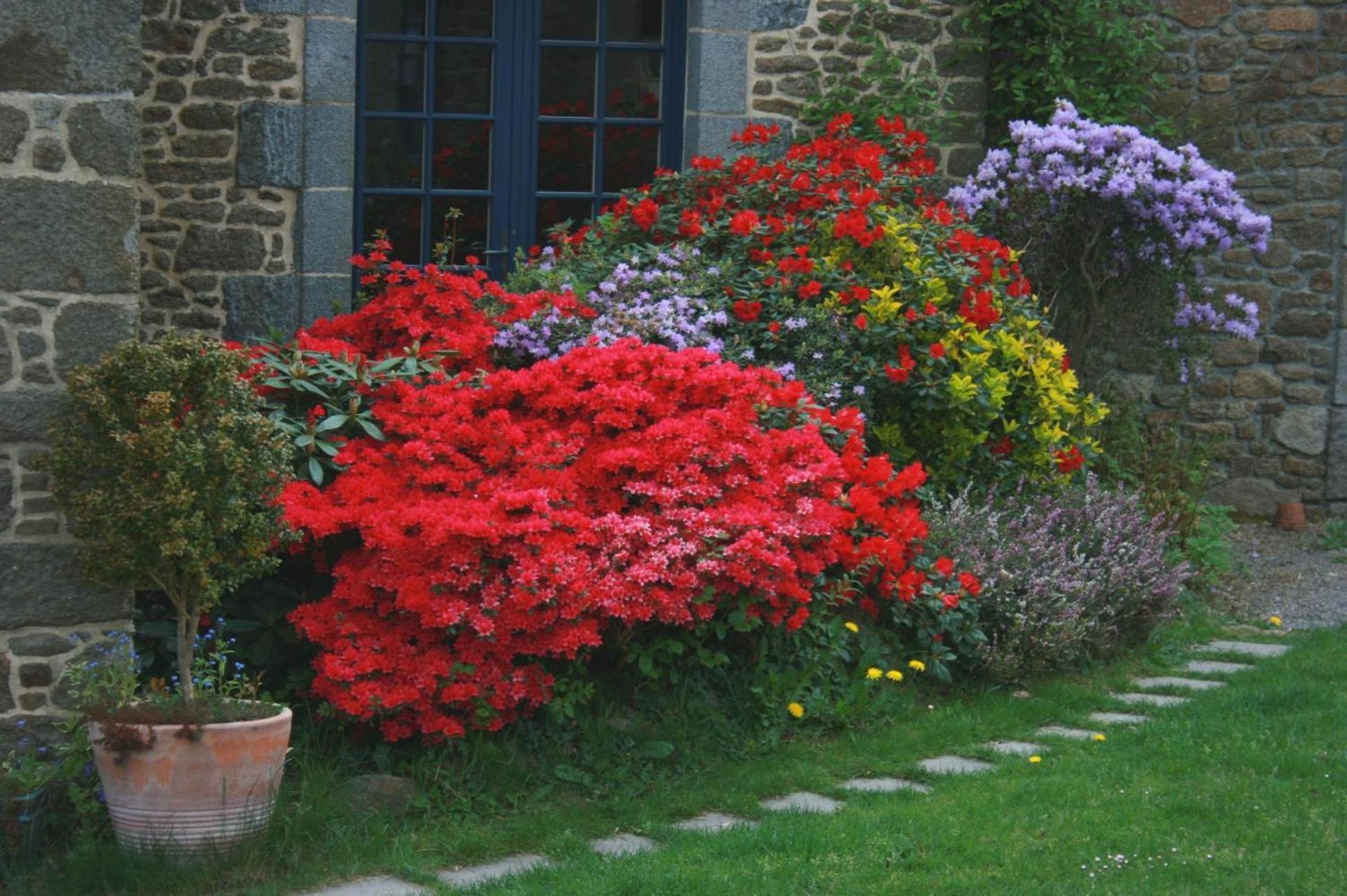 Saint-Pierre-de-Plesguen Au Pont Ricoul Bed & Breakfast エクステリア 写真