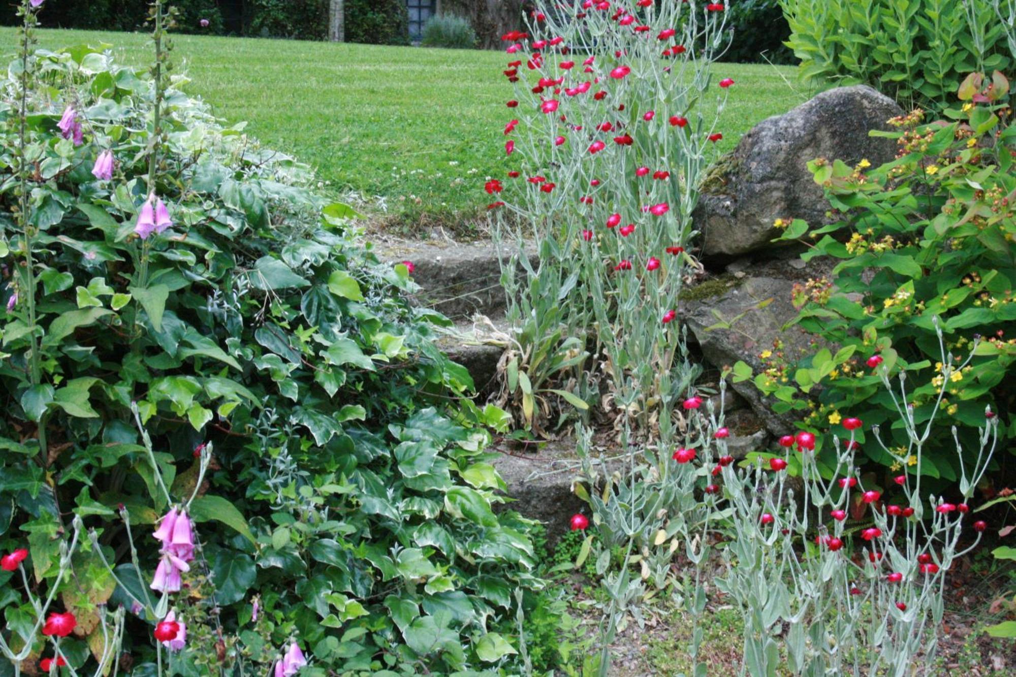 Saint-Pierre-de-Plesguen Au Pont Ricoul Bed & Breakfast エクステリア 写真