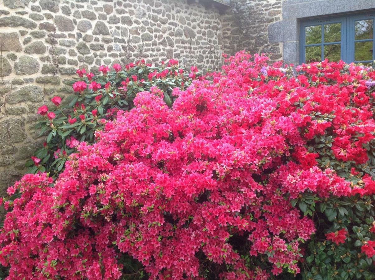 Saint-Pierre-de-Plesguen Au Pont Ricoul Bed & Breakfast エクステリア 写真